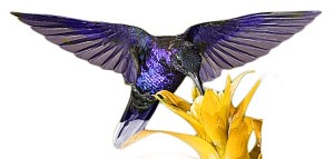 Hummingbird Search strategies